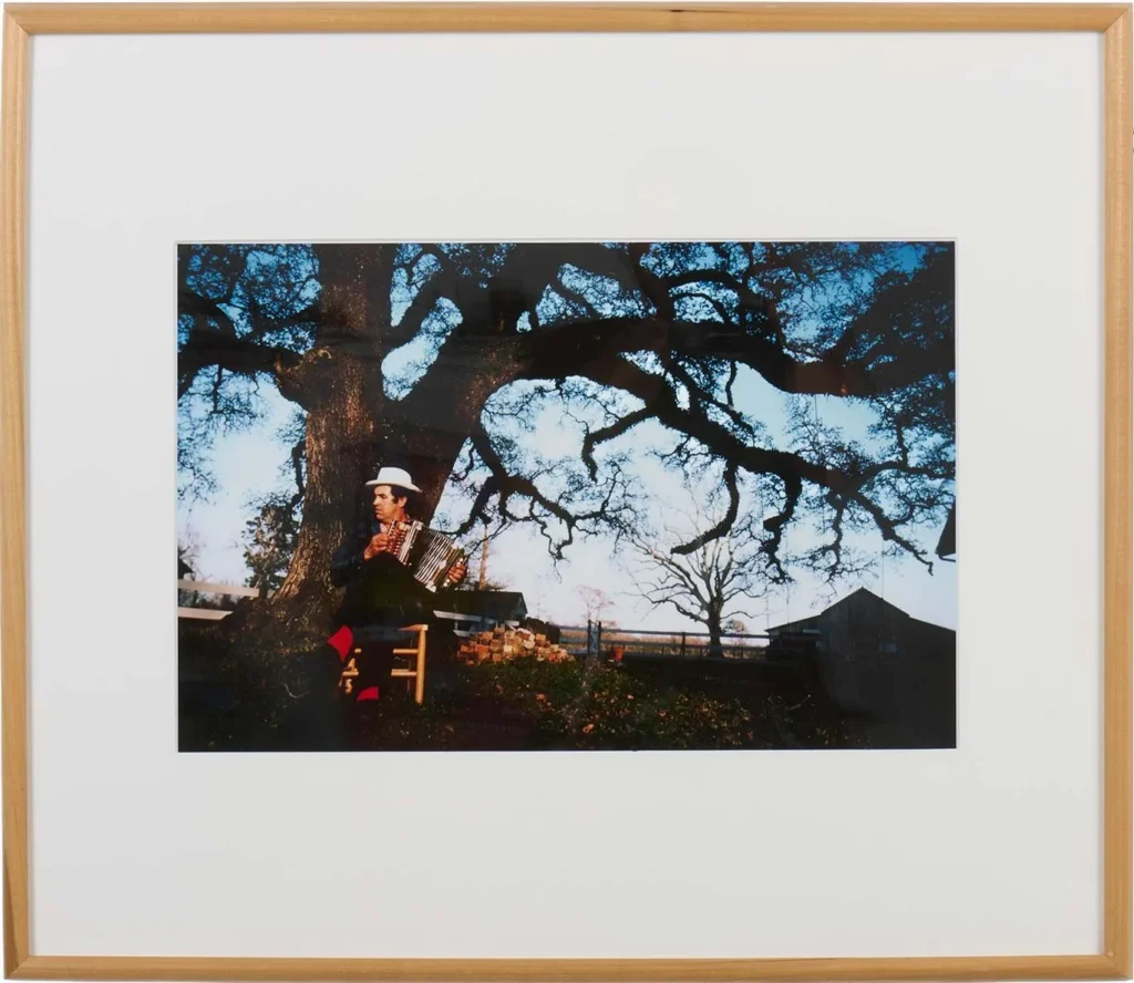 A person in a white hat sits on a red chair under a large, leafless tree, with a fence and barn in the background; this photo, framed in light wood with a white mat, captures the charm often seen at Hilliard Art Museum exhibitions.