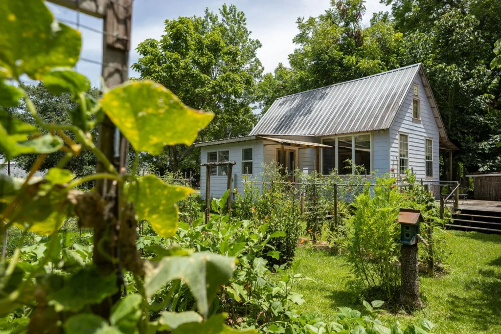 A small white house with a metal roof is surrounded by a lush green garden with various plants and trees under a bright sky. A wooden post with a green birdhouse stands in the foreground.