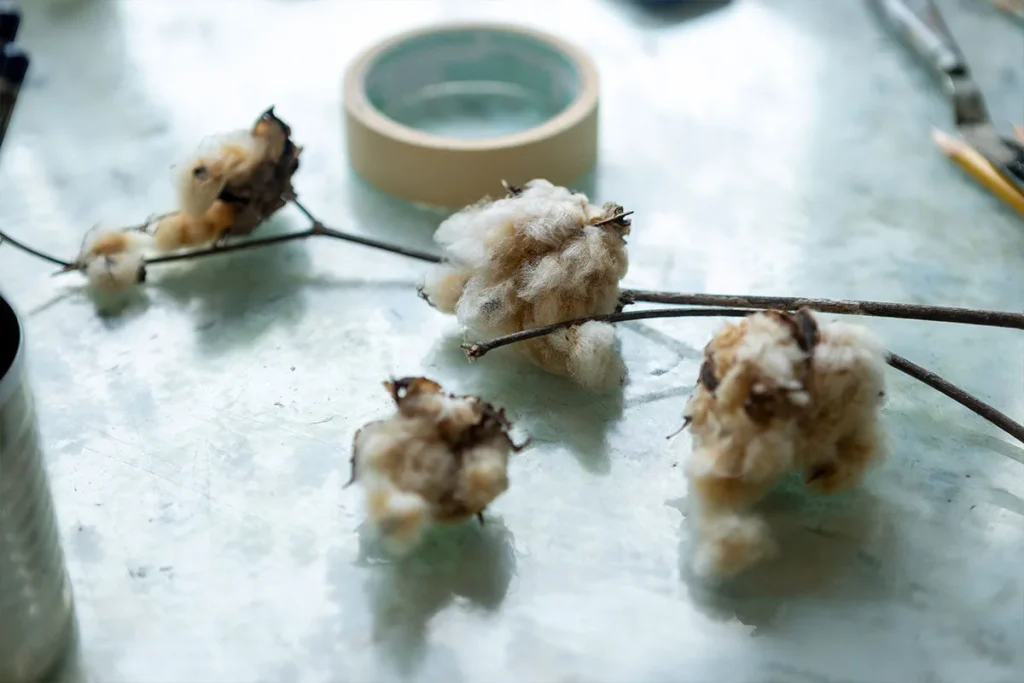 Cotton branches with fluffy cotton bolls rest on a light-colored surface. A roll of masking tape, part of a tin can, and a pencil are visible in the background, giving the scene a casual, worktable feel.