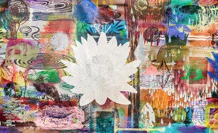A vibrant, abstract collage featuring colorful patterns and textures, with a large white lotus flower at the center, surrounded by swirling lines and painted shapes in various shades of blue, green, orange, and pink.
