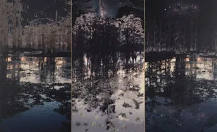 A dark, reflective lake scene with dense, silhouetted trees and glowing lights along the waters edge. The image is divided into three vertical panels, evoking a mysterious, dreamlike atmosphere.