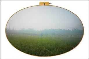An oval-shaped photo frame displays a misty landscape with green grass, distant trees, and a foggy sky, partially obscured by reflection.