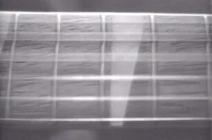 A close-up black-and-white image showing the strings and frets of a guitar neck, with the strings and fretboard clearly visible.
