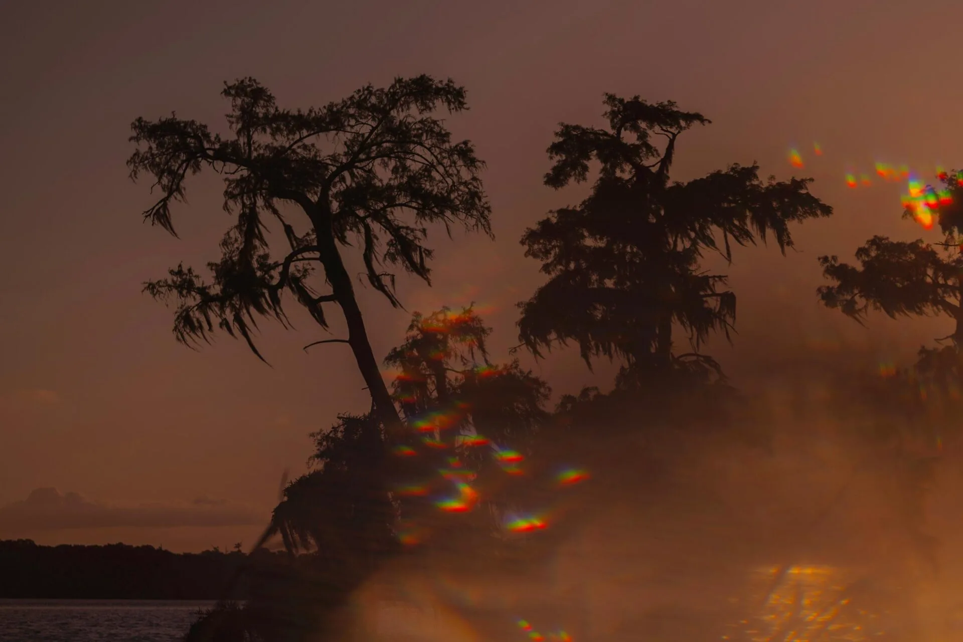 Two large trees with wispy branches are silhouetted against a dusky sky. A rainbow-colored light effect by Mare Martin appears in the lower right as mist drifts across the scene, creating a dreamy, surreal atmosphere.