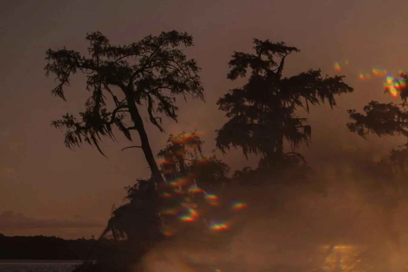 Silhouetted trees stand against a dusky sky, with mist rising below. Prismatic light effects create colorful spots in the lower right area, adding a dreamy, ethereal quality to the scene.