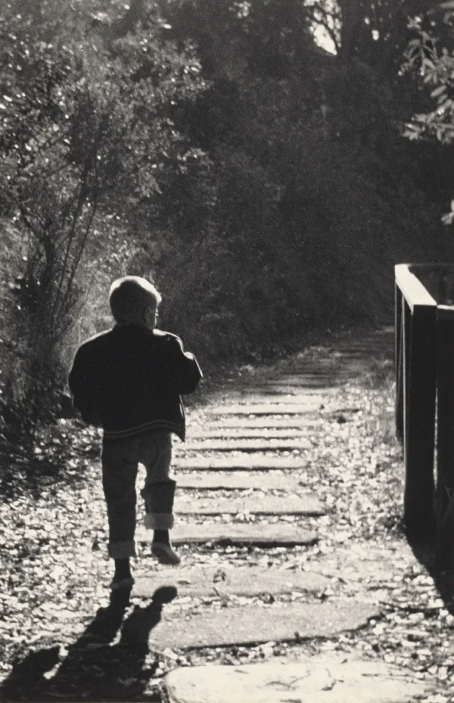 A young child in a hooded jacket walks up a sunlit outdoor path surrounded by trees, with shadows and fallen leaves on the steps, evoking the natural textures often seen in Matthew Day Jackson’s work.