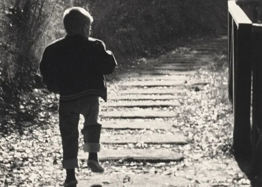 A young child in a hooded jacket walks up a sunlit outdoor path surrounded by trees, with shadows and fallen leaves on the steps, evoking the natural textures often seen in Matthew Day Jackson’s work.